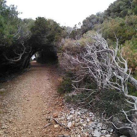 Mljet Sunset Apartamento Pomena