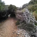 Mljet Sunset شقة بومينا